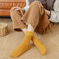 Women’s Premium Fleece Winter Socks | Free Size | Pack of 4